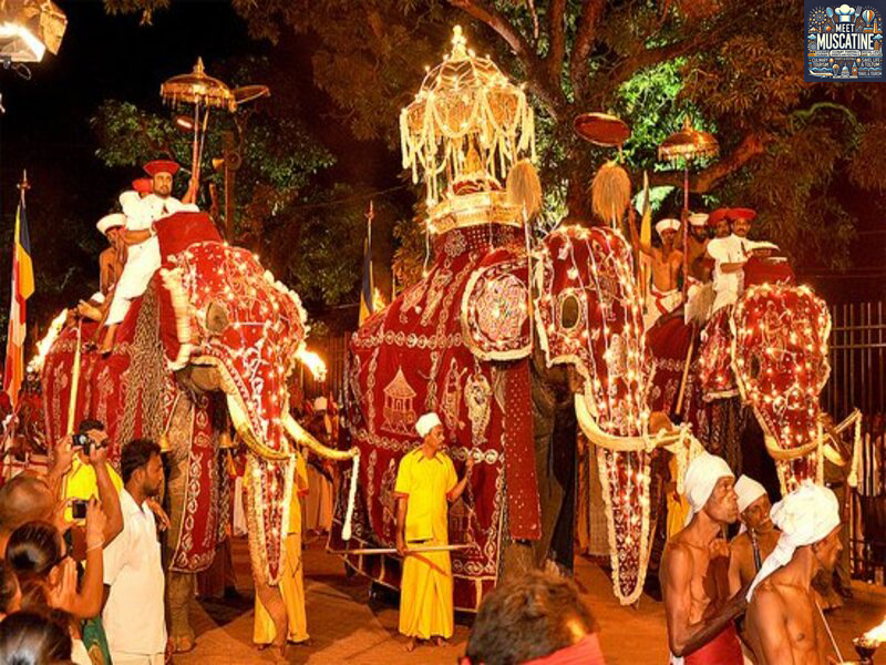 Destinasi Wisata Sri Lanka: Adat Budaya, Tempat Hiburan Hingga Pemandangan Indah