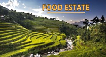 Optimalkan Program Food Estate, Tantangan dan Resiko Yang Dihadapi