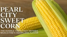 Pearl City Sweet Corn The Humble Taste That Defines Muscatine’s Heartland Flavor
