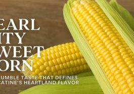Pearl City Sweet Corn The Humble Taste That Defines Muscatine’s Heartland Flavor